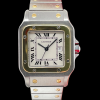 Cartier Santos Full Set Oro/Acciaio