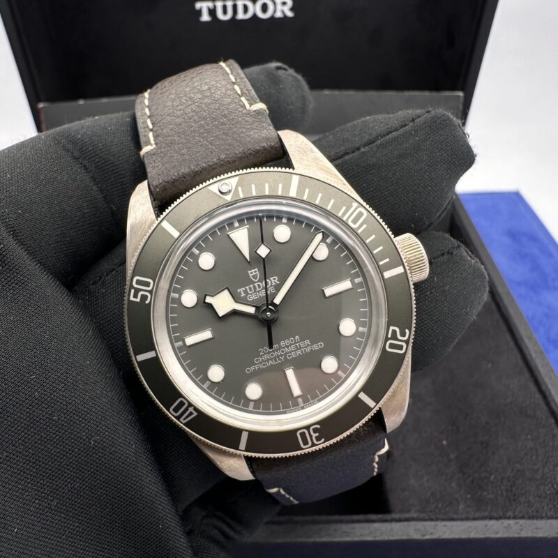 Tudor Black Bay 58 Silver 79010SG New